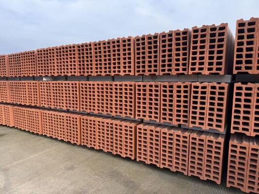 Технология системы сушки и обжига пустотелых блоков и стеновых панелей на линии по производству глиняного кирпича